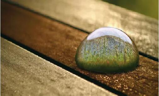 木蠟油涂料原來這么好！你知道嗎？